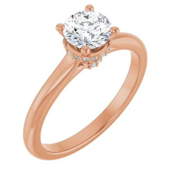 Hidden Halo-Style Engagement Ring Don's Jewelry & Design Washington, IA