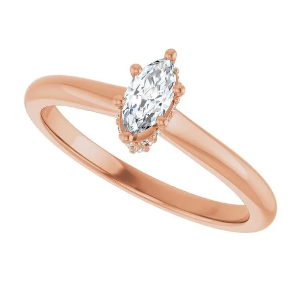 Hidden Halo-Style Engagement Ring Image 5 Don's Jewelry & Design Washington, IA