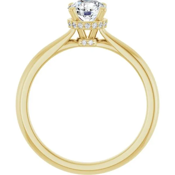 Hidden Halo-Style Engagement Ring Image 2 J. Thomas Jewelers Rochester Hills, MI