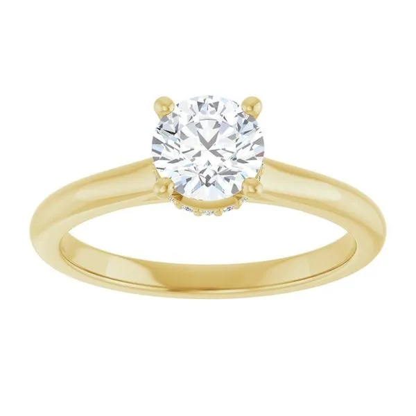 Hidden Halo-Style Engagement Ring Image 3 J. Thomas Jewelers Rochester Hills, MI