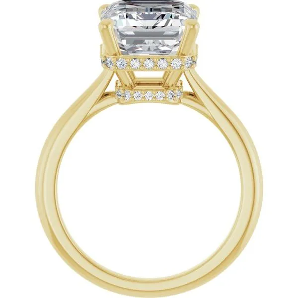 Hidden Halo-Style Engagement Ring Image 2 Hudson Valley Goldsmith New Paltz, NY