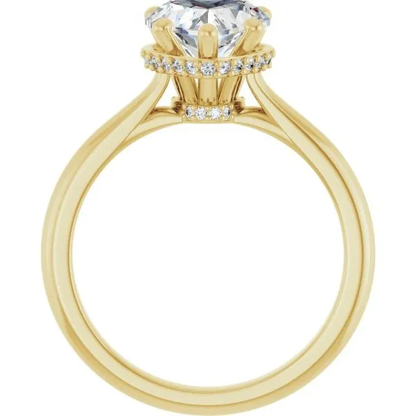 Hidden Halo-Style Engagement Ring Image 2 Don's Jewelry & Design Washington, IA