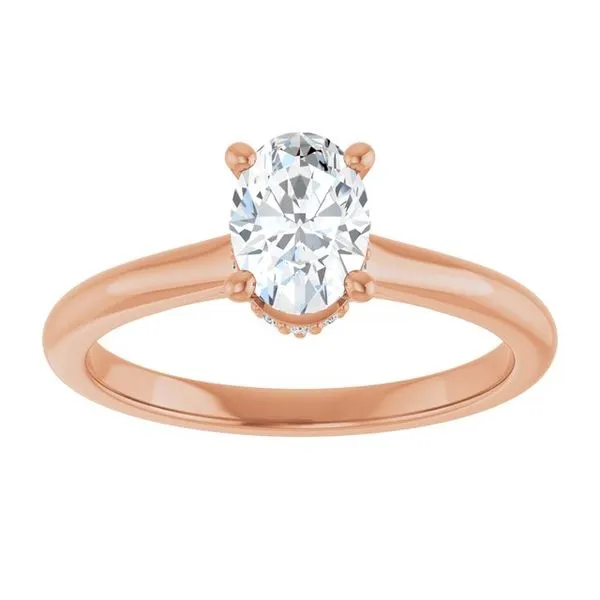 Hidden Halo-Style Engagement Ring Image 3 Don's Jewelry & Design Washington, IA