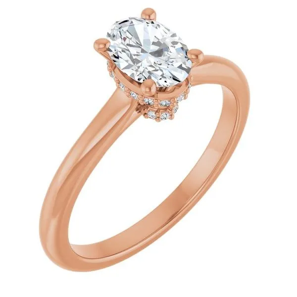 Hidden Halo-Style Engagement Ring Shipley's Fine Jewelry Hampstead, MD