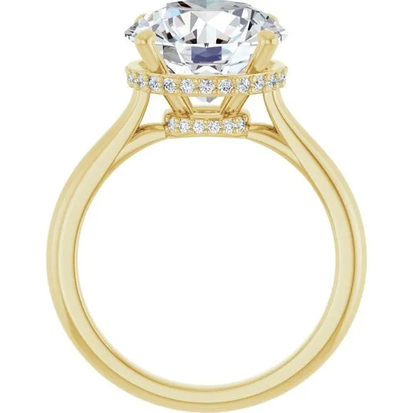 Hidden Halo-Style Engagement Ring Image 2 Don's Jewelry & Design Washington, IA