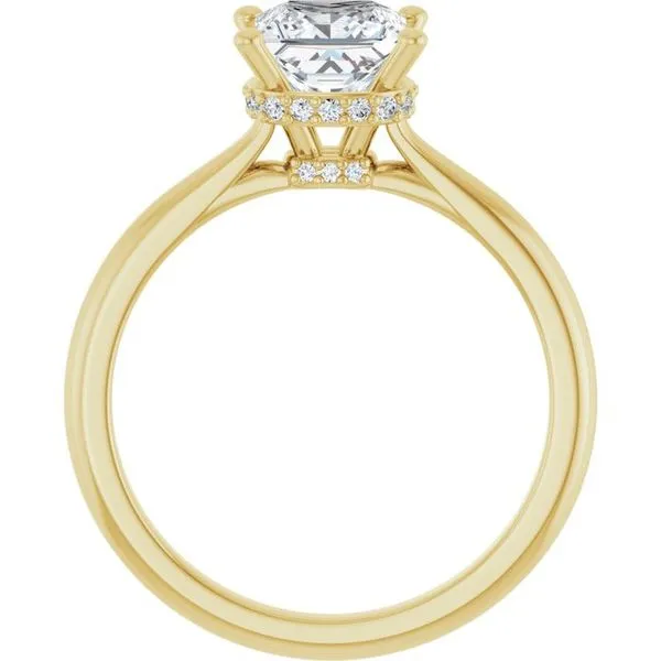 Hidden Halo-Style Engagement Ring Image 2 Jimmy Smith Jewelers Decatur, AL