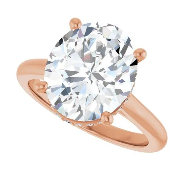 Hidden Halo-Style Engagement Ring Image 5 Hudson Valley Goldsmith New Paltz, NY