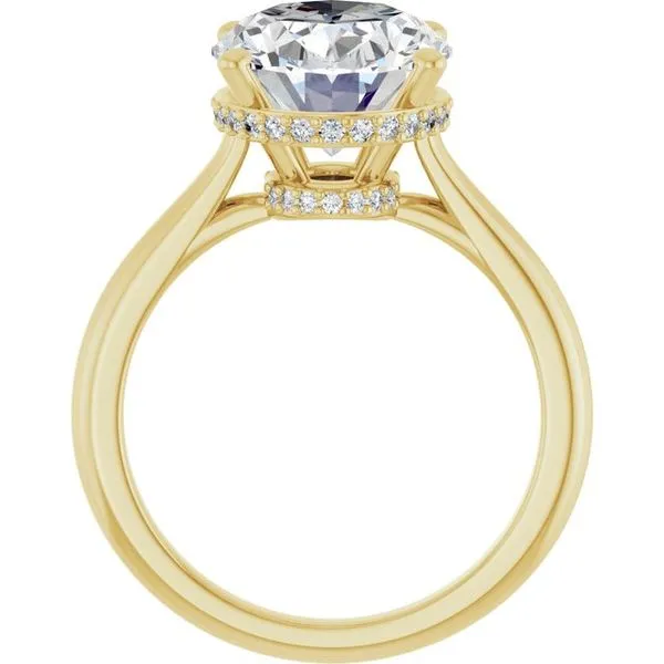 Hidden Halo-Style Engagement Ring Image 2 Jimmy Smith Jewelers Decatur, AL