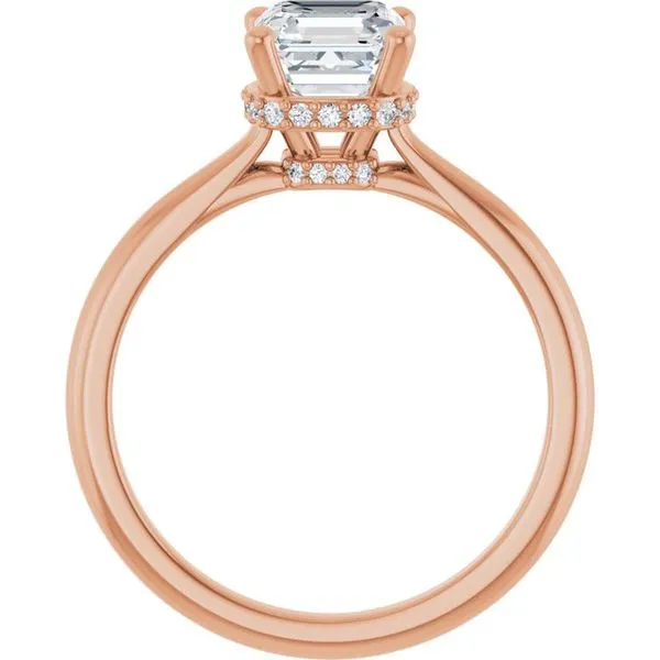 Hidden Halo-Style Engagement Ring Image 2 Don's Jewelry & Design Washington, IA