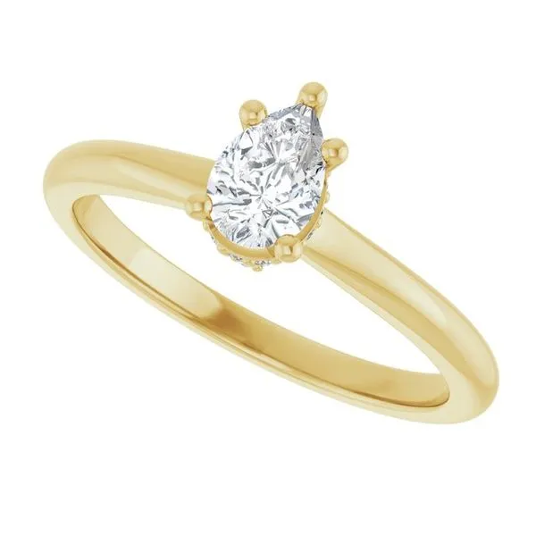 Hidden Halo-Style Engagement Ring Image 5 Don's Jewelry & Design Washington, IA