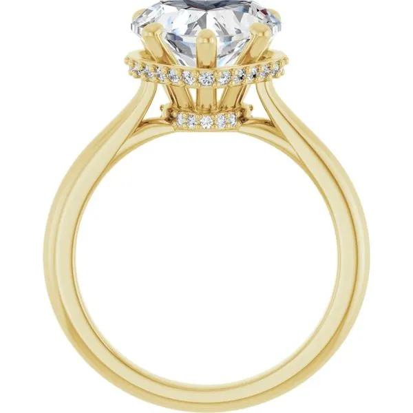 Hidden Halo-Style Engagement Ring Image 2 Clater Jewelers Louisville, KY