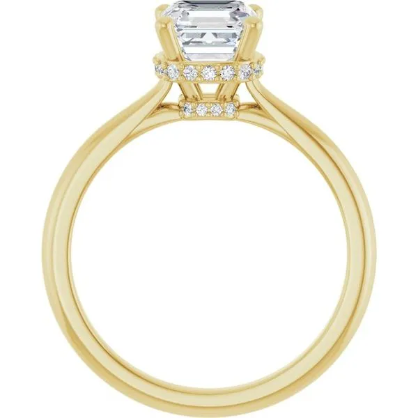 Hidden Halo-Style Engagement Ring Image 2 Michael Szwed Jewelers Longmeadow, MA