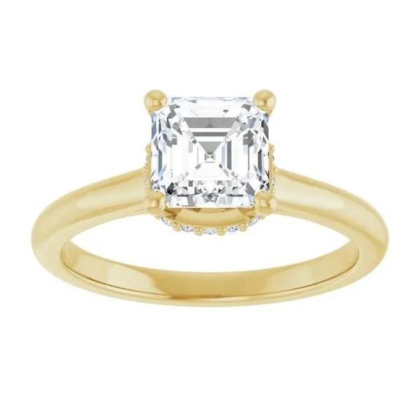 Hidden Halo-Style Engagement Ring Image 3 Don's Jewelry & Design Washington, IA