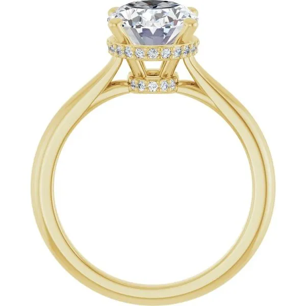 Hidden Halo-Style Engagement Ring Image 2 The Ring Austin Round Rock, TX