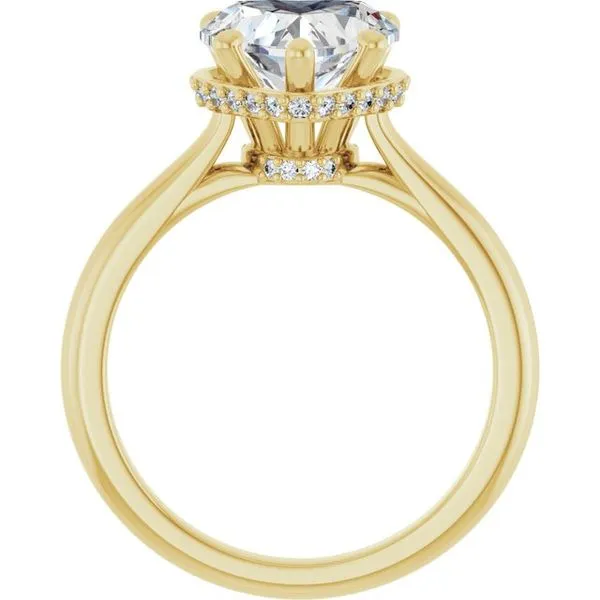 Hidden Halo-Style Engagement Ring Image 2 JF Jones Jewelers Rochester, NY