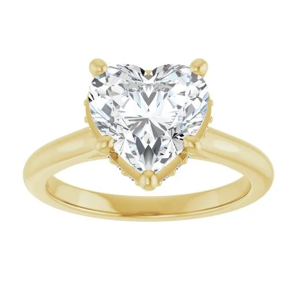 Hidden Halo-Style Engagement Ring Image 3 Clater Jewelers Louisville, KY