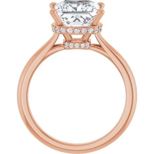 Hidden Halo-Style Engagement Ring Image 2 Don's Jewelry & Design Washington, IA