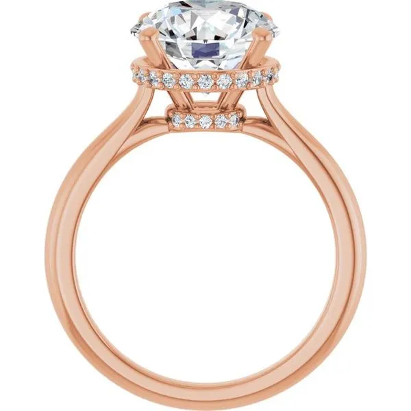 Hidden Halo-Style Engagement Ring Image 2 Clater Jewelers Louisville, KY