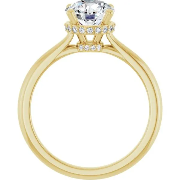Hidden Halo-Style Engagement Ring Image 2 The Ring Austin Round Rock, TX