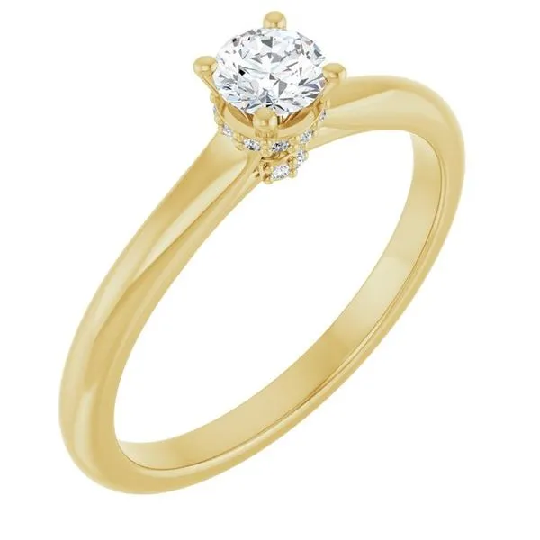 Hidden Halo-Style Engagement Ring J. Thomas Jewelers Rochester Hills, MI