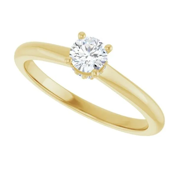 Hidden Halo-Style Engagement Ring Image 5 The Jewelry Source El Segundo, CA