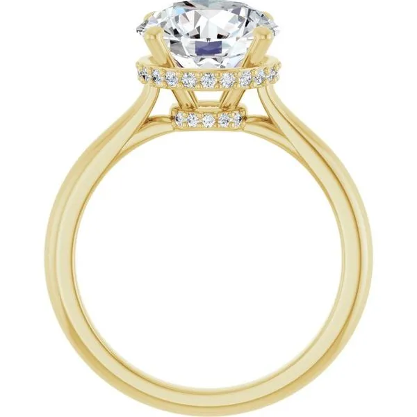 Hidden Halo-Style Engagement Ring Image 2 Ocean View Jewelers Millville, DE