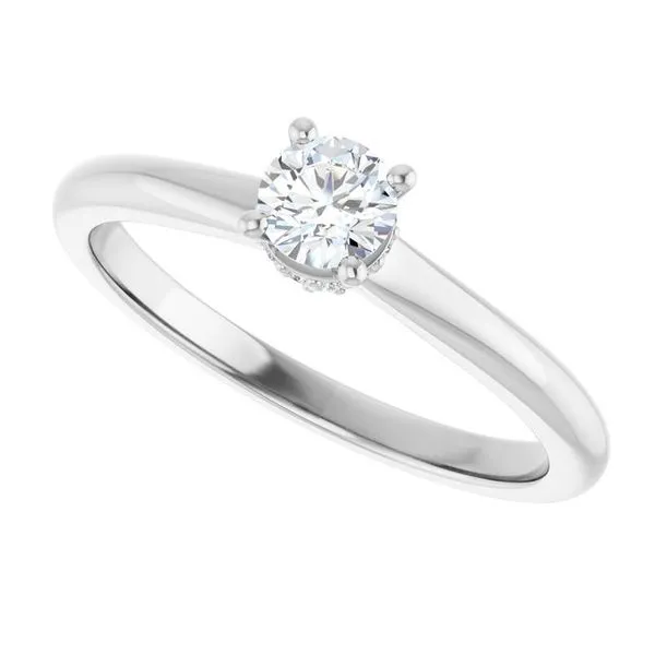 Hidden Halo-Style Engagement Ring Image 5 JF Jones Jewelers Rochester, NY