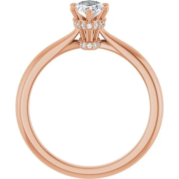 Hidden Halo-Style Engagement Ring Image 2 Don's Jewelry & Design Washington, IA