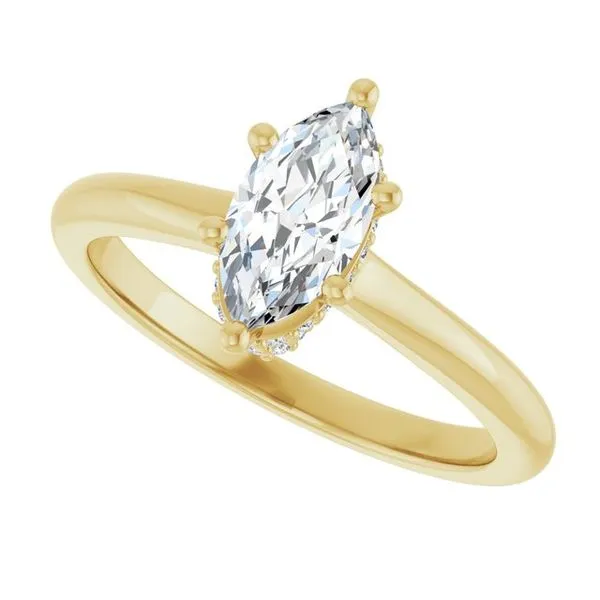 Hidden Halo-Style Engagement Ring Image 5 Michael Szwed Jewelers Longmeadow, MA