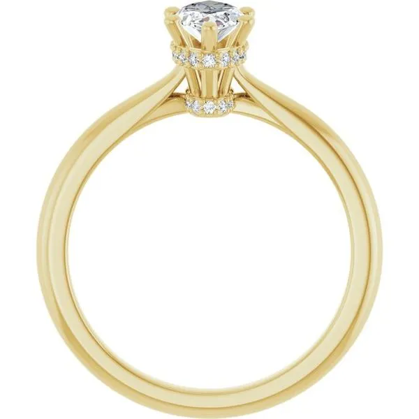 Hidden Halo-Style Engagement Ring Image 2 Shipley's Fine Jewelry Hampstead, MD