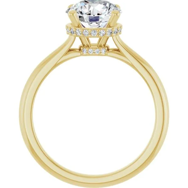 Hidden Halo-Style Engagement Ring Image 2 JF Jones Jewelers Rochester, NY