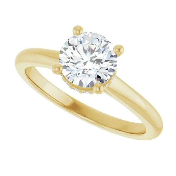 Hidden Halo-Style Engagement Ring Image 5 Clater Jewelers Louisville, KY