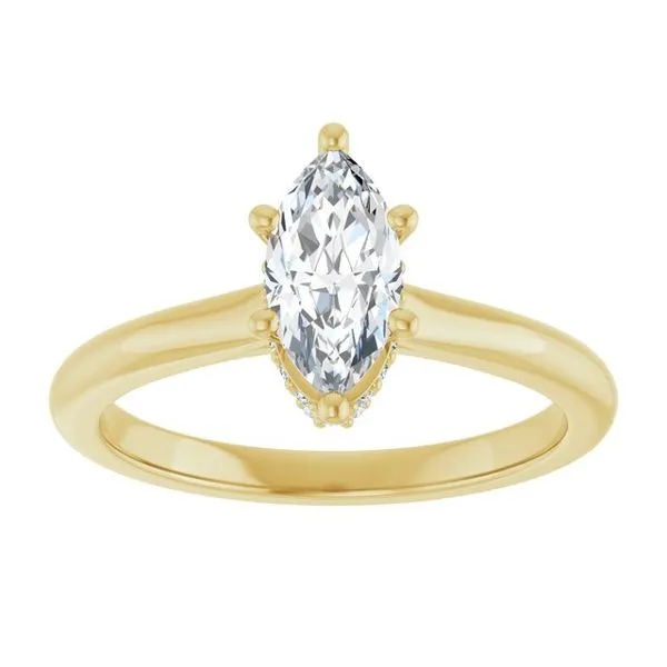 Hidden Halo-Style Engagement Ring Image 3 The Ring Austin Round Rock, TX