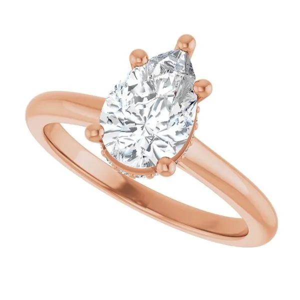 Hidden Halo-Style Engagement Ring Image 5 Don's Jewelry & Design Washington, IA