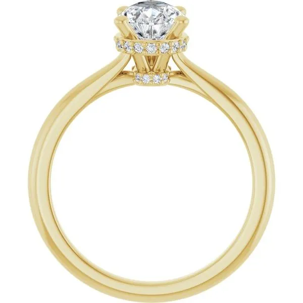 Hidden Halo-Style Engagement Ring Image 2 J. Thomas Jewelers Rochester Hills, MI