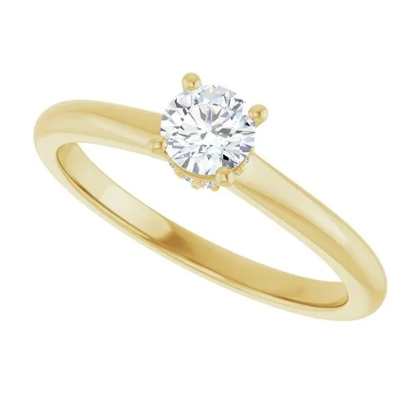 Hidden Halo-Style Engagement Ring Image 5 JF Jones Jewelers Rochester, NY