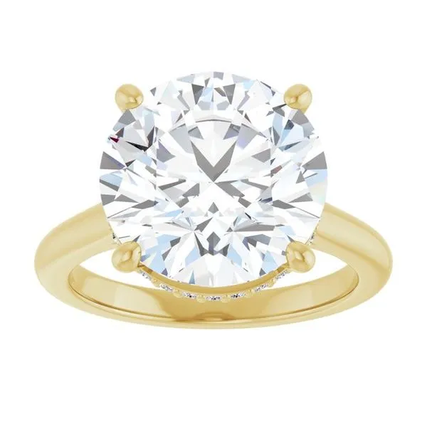 Hidden Halo-Style Engagement Ring Image 3 J. Thomas Jewelers Rochester Hills, MI
