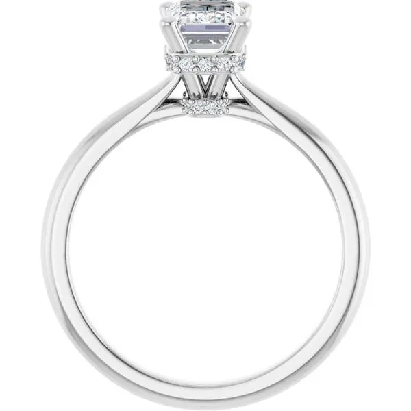 Hidden Halo-Style Engagement Ring Image 2 Clater Jewelers Louisville, KY
