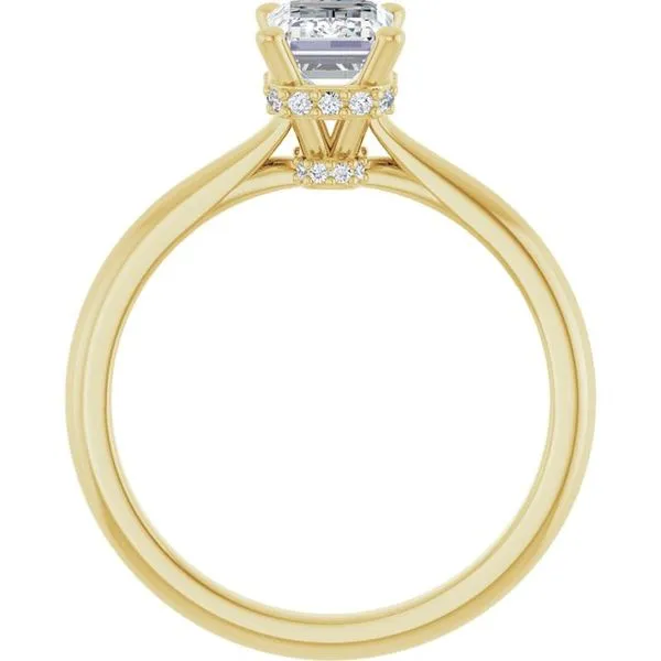 Hidden Halo-Style Engagement Ring Image 2 Don's Jewelry & Design Washington, IA