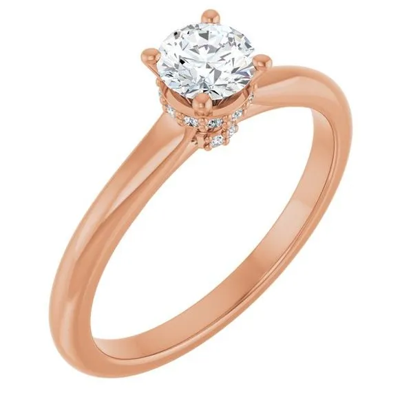 Hidden Halo-Style Engagement Ring Raleigh Diamond Fine Jewelry Raleigh, NC