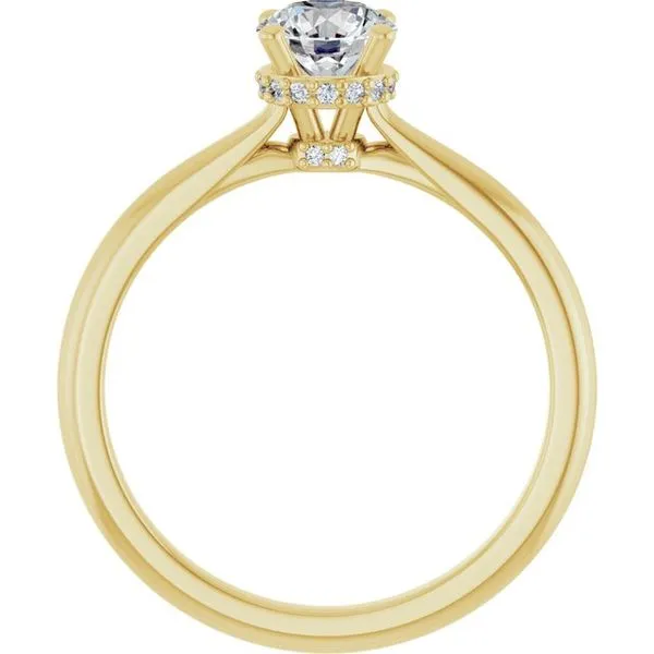 Hidden Halo-Style Engagement Ring Image 2 The Ring Austin Round Rock, TX