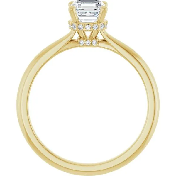 Hidden Halo-Style Engagement Ring Image 2 Vulcan's Forge LLC KANSAS CITY, MO