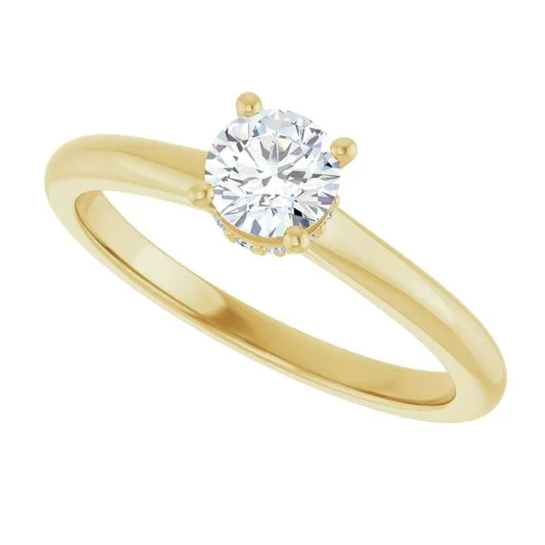 Hidden Halo-Style Engagement Ring Image 5 J. Thomas Jewelers Rochester Hills, MI