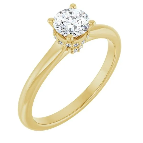 Hidden Halo-Style Engagement Ring J. West Jewelers Round Rock, TX