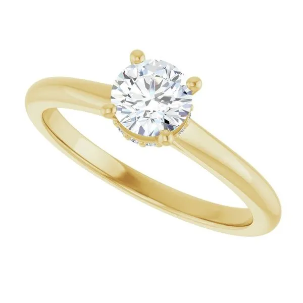 Hidden Halo-Style Engagement Ring Image 5 Raleigh Diamond Fine Jewelry Raleigh, NC