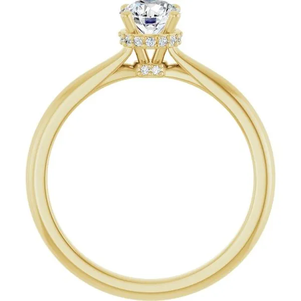 Hidden Halo-Style Engagement Ring Image 2 J. Thomas Jewelers Rochester Hills, MI