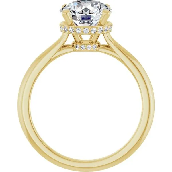 Hidden Halo-Style Engagement Ring Image 2 Don's Jewelry & Design Washington, IA