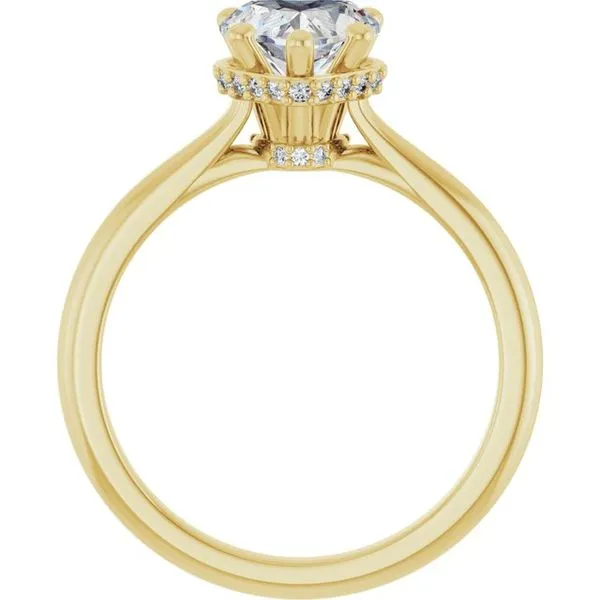Hidden Halo-Style Engagement Ring Image 2 J. Thomas Jewelers Rochester Hills, MI