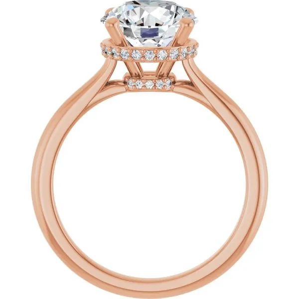 Hidden Halo-Style Engagement Ring Image 2 Don's Jewelry & Design Washington, IA