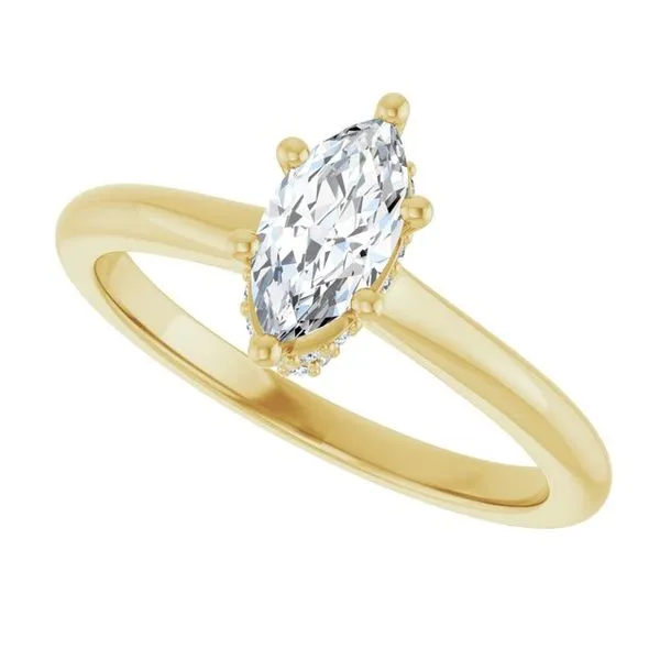 Hidden Halo-Style Engagement Ring Image 5 The Ring Austin Round Rock, TX